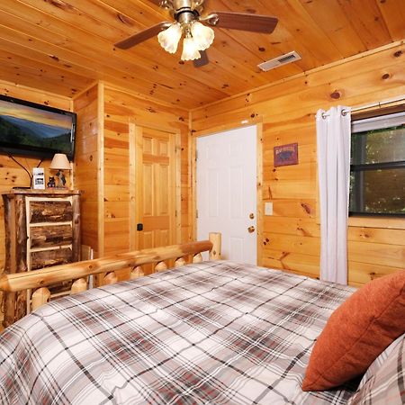 Beary Cozy Villa Pigeon Forge Dış mekan fotoğraf