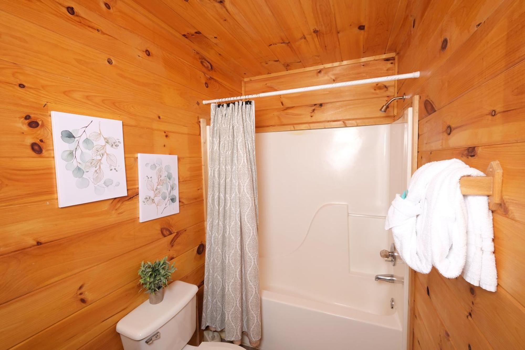 Beary Cozy Villa Pigeon Forge Dış mekan fotoğraf