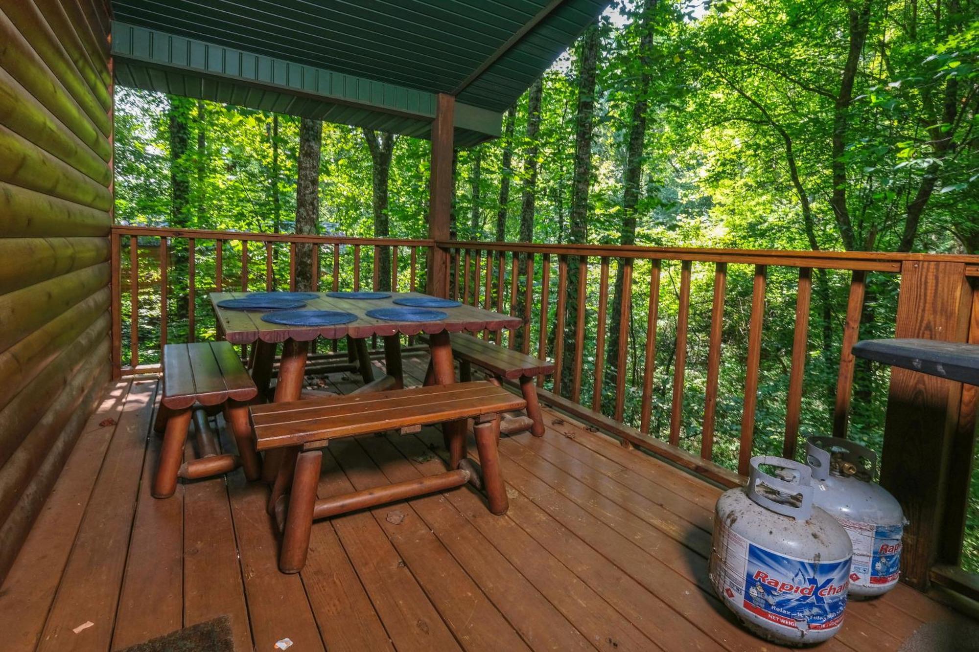 Beary Cozy Villa Pigeon Forge Dış mekan fotoğraf