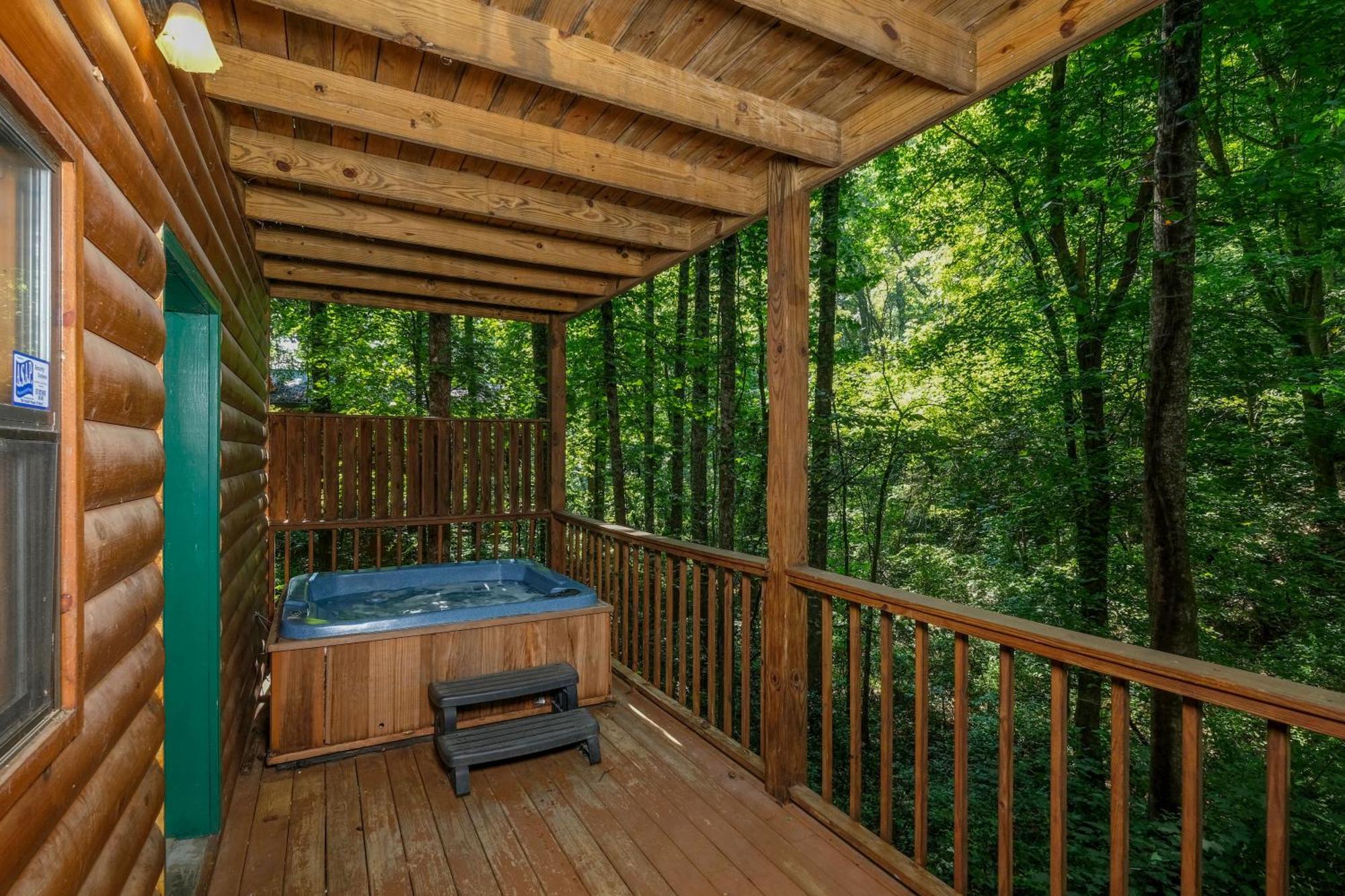 Beary Cozy Villa Pigeon Forge Dış mekan fotoğraf